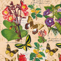 Carta decorativa Collezione Botanica