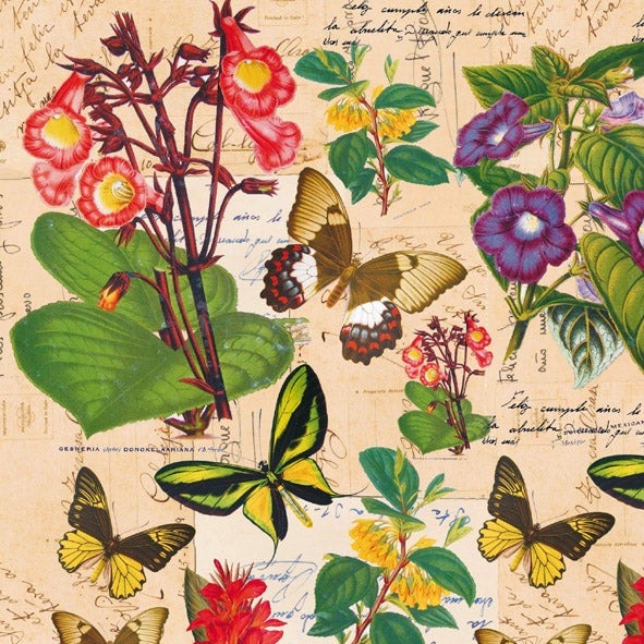 Carta decorativa Collezione Botanica